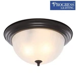 Progress Lighting P3818-20 3-LIGHT Flush Mount Antique Bronze Etched Glass. Fixed Price $39.99.