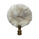 Royal Designs, Inc. Natural Seashell & Coral Lamp Finials, Multiple Styles. Fixed Price $56.95.