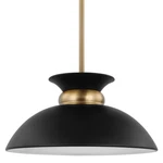 Nuvo Lighting 60/7460 Perkins 15"W Pendant - Matte Black Burnished Brass. Fixed Price $167.99.