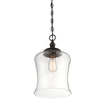 Savoy House 1-LIGHT 17" Pendant Light, Oil Rubbed Bronze Clear Glass M70019ORB. Fixed Price $89.00.