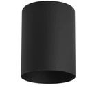 Progress Lighting P5774-31 Cylinder Flush Mount Outdoor Ceiling Fixture. Fixed Price $42.95.