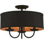 Livex Lighting 45129-04 Winchester Semi-flush Mount Black. Fixed Price $257.96.