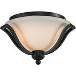 Z-lite 703F2-MB Lagoon Light 15 Inch Matte Black Flush Mount Ceiling. Fixed Price $78.00.
