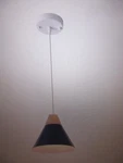 Adsensty 1-LIGHT Blue Pendant With Metal Shade. Fixed Price $37.75.