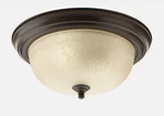 Progress Lighting P3925-EUL Bronze 13-1/4" Two Flush Mount Ceiling Fixture. Fixed Price $30.40.