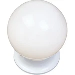Maxim Lighting 1-LIGHT Flush Mount White 5889WTWT. Fixed Price $29.99.