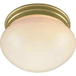 Volume Lighting Trinidad 2-LIGHT Polished Brass Flush Mount. Fixed Price $15.47.