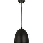 Z-lite 6012P9-SBK Z-studio Pendant Satin Black. Fixed Price $98.60.