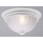 Volume Lighting 2-LIGHT White Flush Mount Ceiling Fixture, V7822-6. Fixed Price $39.99.