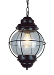 Trans Globe Lighting 69903 1 Down Medium Outdoor - Black. Fixed Price $100.70.