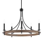 Home Decorators 28 In. Woodbrier 5-LIGHT Black & Medium Finish Chandelier. Fixed Price $105.88.