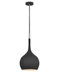 Black Led Pendant From The Ziggy Collection. Fixed Price $349.00.