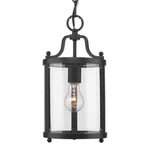Golden Lighting Payton 1-LIGHT Black Pendant 1157-M1L Blk. Fixed Price $42.19.