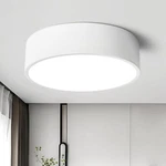 Dimmable Led White Flush Mount Ceiling Light Fixture,modern Round Hallway Lig.... Fixed Price $109.29.