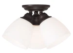 Livex Lighting 13664-07 Somerville Semi-flush Mount Bronze. Fixed Price $127.96.