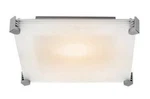 Access Lighting Fixture Brushed Steel Flush Mount Frosted Glass Model 50127. Fixed Price $50.00.