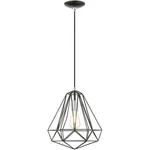 Livex Lighting 41324-68 Geometric Pendant Shiny Black. Fixed Price $125.96.