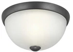Progress Lighting Glass Domes 11 Inch Graphite Flush Mount Ceiling. Fixed Price $24.00.
