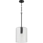 Craftmade 60292-FB Lyndsey Light 10 Inch Flat Black Pendant Ceiling. Fixed Price $97.88.