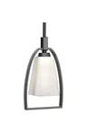 Progress Lighting Espresso Ridge Collection Mini Cage Pendant Etched Glass Lamp. Fixed Price $44.99.
