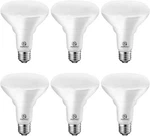 Energetic BR30 Led Flood Lights Indoor, Daylight 5000K, 65W Recessed Bulbs. Fixed Price $19.99.
