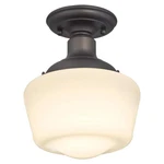 Westinghouse 6342200 Scholar 1 Light 7-3/8"W Semi-flush Drum Bronze. Fixed Price $43.72.
