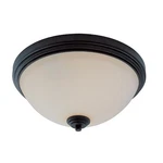 Z-lite Chelsey Light Flush Mount, Bronze, Matte Opal 314F3-BRZ. Fixed Price $44.99.