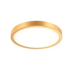 Dals Lighting CFLEDR10-CC Delta 10"W Flush Mount Drum Ceiling Gold. Fixed Price $133.68.