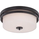 Nuvo Lighting 60/5307 Parallel Flush Mount Aged Bronze. Fixed Price $184.99.