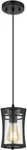 Ove Decors Joakim Single Pendant Light Fixture (item # 1654706). Fixed Price $24.59.