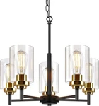 Sucolite 5-LIGHT Chandelier With Clear Glass Shades 3358-P5-BK Black/gold. Fixed Price $62.01.