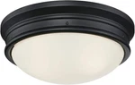 Lighting 6324100 Meadowbrook Two-light Indoor Flush-mount Ceiling Fixture, Matte. Fixed Price $81.15.