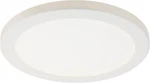 Westinghouse 6133300 Led Flush Mount 12" 22W Dimmable Ceiling Light, White. Fixed Price $19.99.
