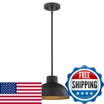 Westinghouse Lighting 6309900 Malte One-light Indoor Pendant Hammered Oil. Fixed Price $93.60.