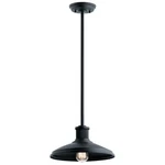Allenbury 12" Outdoor Pendant In Textured Black. Fixed Price $254.99.