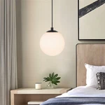 Pendant Lighting Globe Hanging Ceiling Fixture Single Kitchen Island. Fixed Price $55.99.