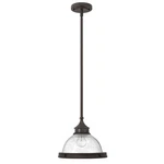 Hinkley Lighting Amelia Mini-pendant, Buckeye Bronze 3123KZ. Fixed Price $119.99.