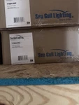 Seagull 77064-962 Light Fixture. Fixed Price $40.00.