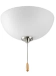 New! Progress Lighting Joy / Rave Collection Ceiling Fan Light, Brushed Nickel. Fixed Price $16.99.