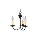 Livex Lighting Heritage Mini Chandelier Black. Fixed Price $171.99.