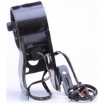 Engine Mount Anchor 9738 Fits 00-01 Nissan Maxima 3.0L-V6. Fixed Price $101.92.