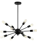 Society LS-C172-BLK Meridia 12-LIGHT 24 In Black Sputnik Style Chandelier. Fixed Price $70.00.