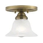 Livex Lighting 1530 Brass Edgemont Semi-flush Ceiling Fixture With 1-LIGHT. Fixed Price $85.96.