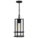 Damien Light Mini Pendant Transitional STYLE-17.25 Inches Tall And 7.5. Fixed Price $279.99.