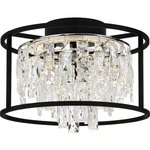 Quoizel PCBNC1615 Brillance 15"W Led Semi-flush Drum Ceiling Black. Fixed Price $549.99.