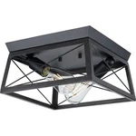 Progress Lighting P350039 Briarwood 12"W Flush Mount - Black. Fixed Price $72.23.