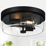Szzgco Flush Mount Ceiling Fixtures, 2-LIGHT Black For Fa.... Fixed Price $55.93.