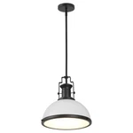 Jonathan 10" Matte Black/white Industrial Iron Led Dome Pendant LIGHT,JYL9536E. Fixed Price $175.84.