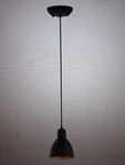 Eglo Priddy 6.1 In. W 82.17 1-LIGHT Black Exterior And Gold Pendant. Fixed Price $18.66.