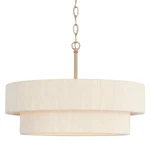 Capital Lighting 349841 Delaney 20"W Pendant - Brass. Fixed Price $598.00.